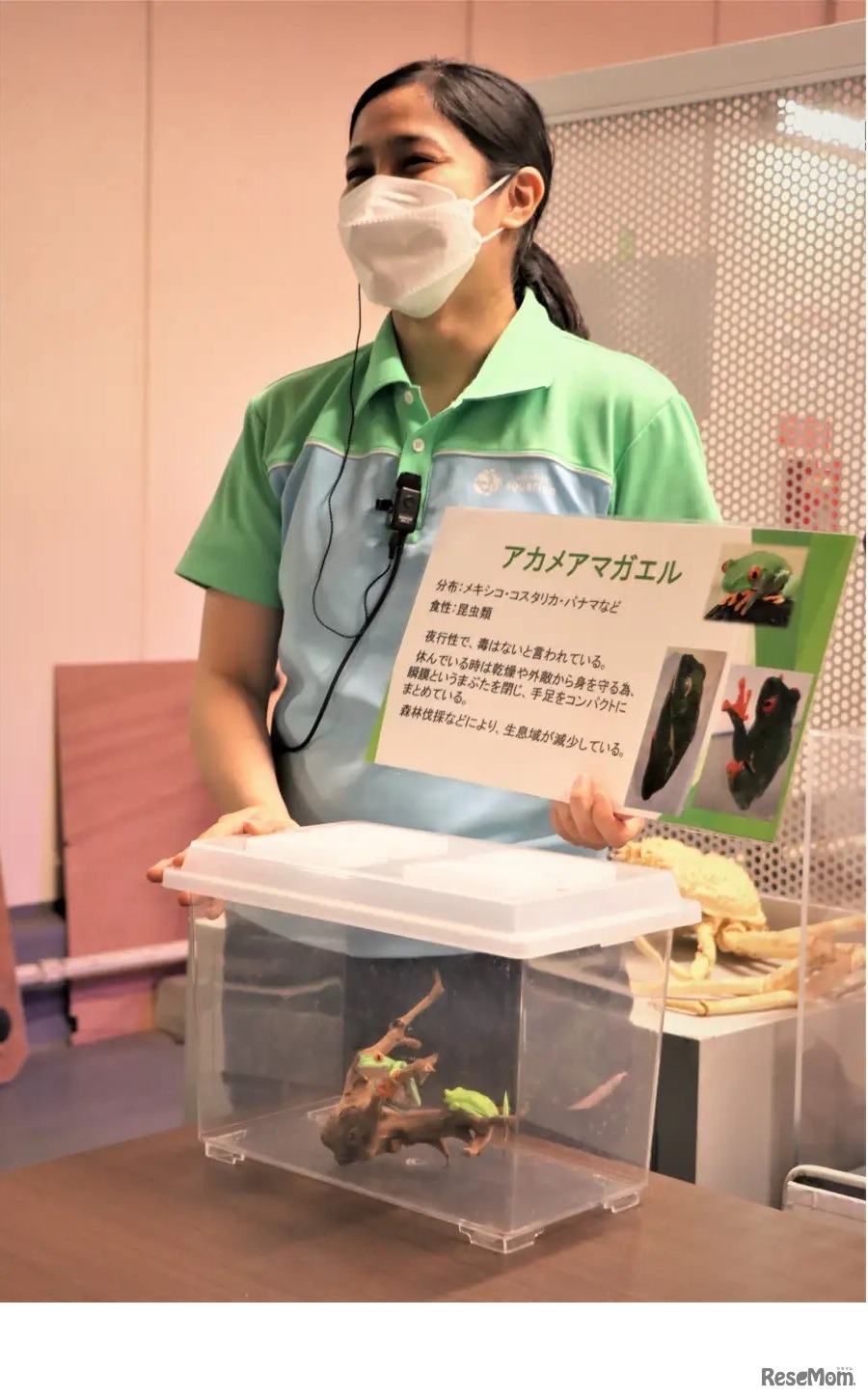 マニアックツアー