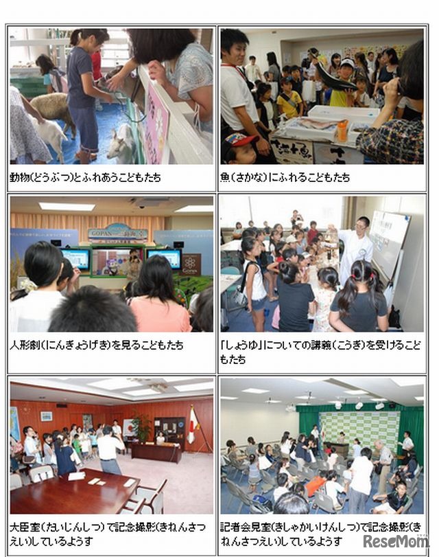 これまでの子ども霞が関見学デーのようす