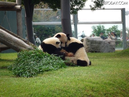 アドベンチャーワールド