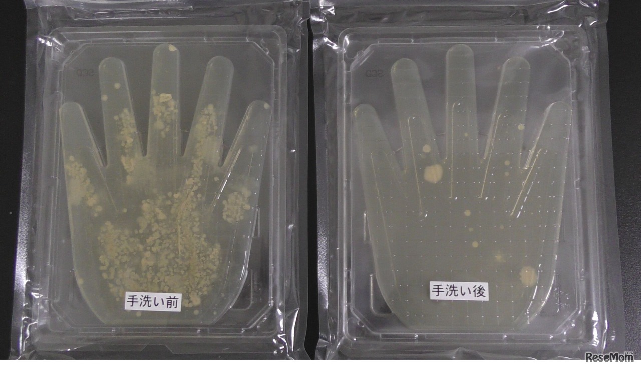 「つけない」 …手形培地で手洗い前後の手の菌を視覚的に確認！