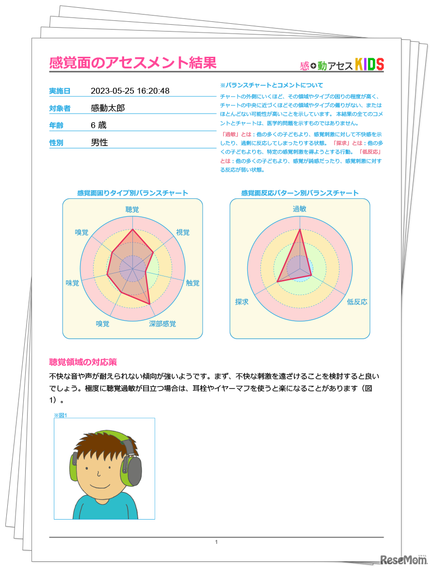 感覚・動作アセスメントKIDS 結果例