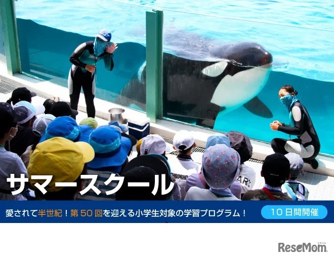 鴨川シーワールド・サマースクール