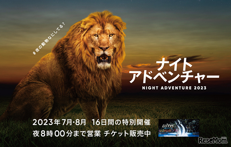 【夏休み2023】アドベンチャーワールド「NIGHT ADVENTURE2023」7-8月