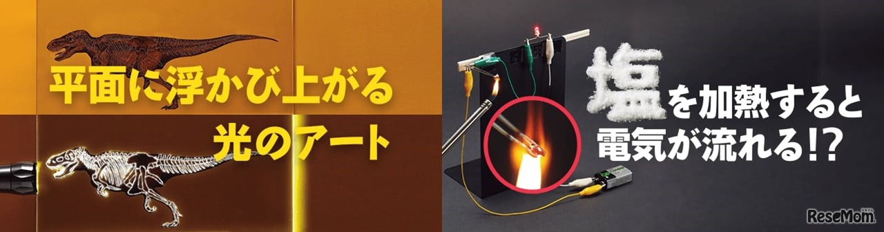 身近な材料でできる！実験や工作