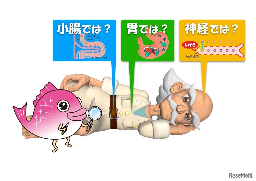 イメージキャラクターの「博士」