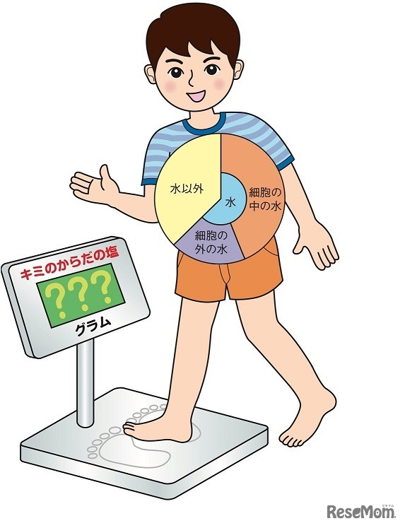 塩は「細胞の外の水」にある