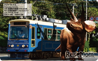 限定コラボカード