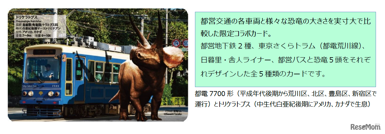 限定コラボカード 都電7700形とトリケラトプス