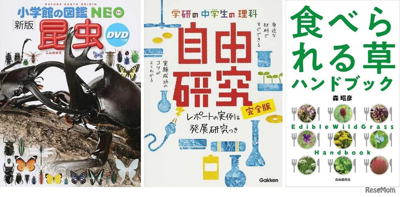 自由研究本ランキング
