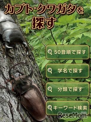 検索画面（イメージ）