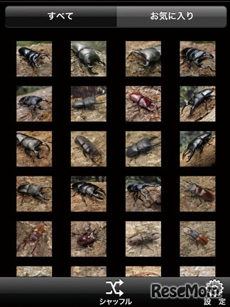 フォトギャラリー（イメージ）