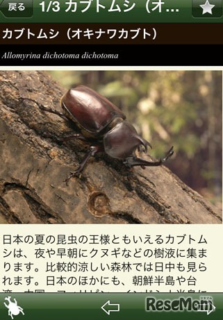 詳細画面（イメージ）