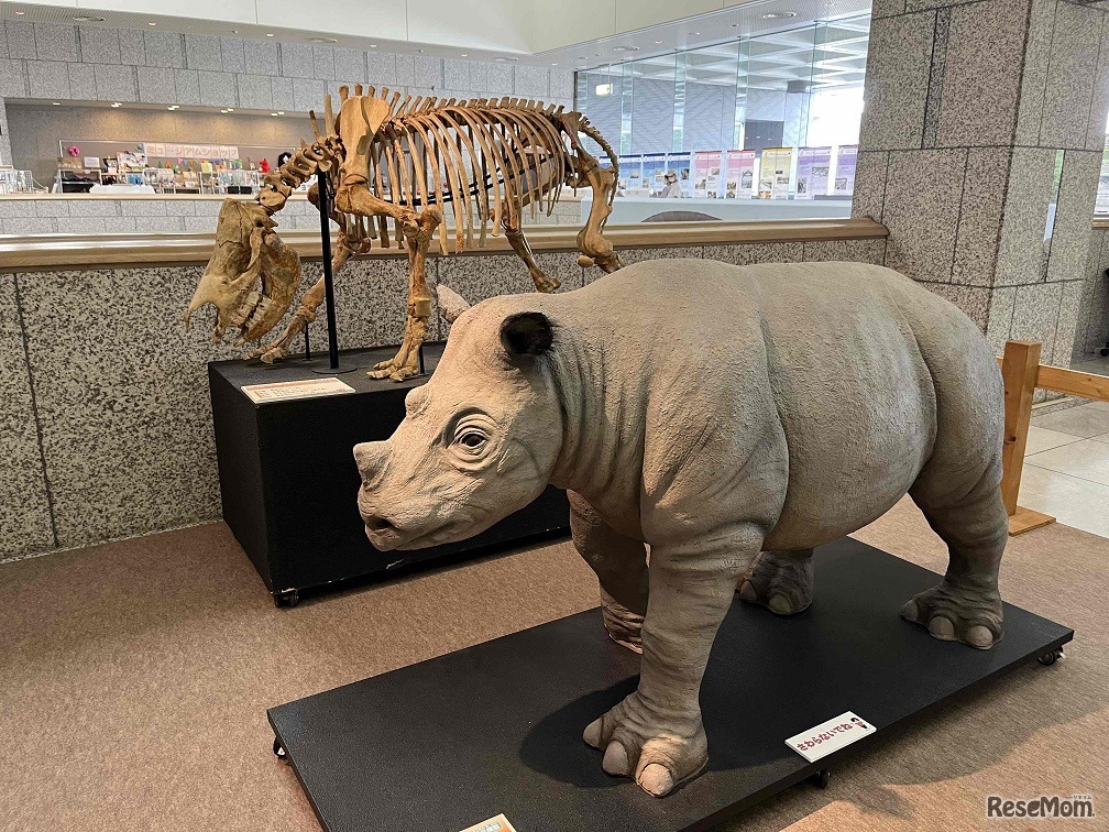 メルクサイ全身骨格・復元模型