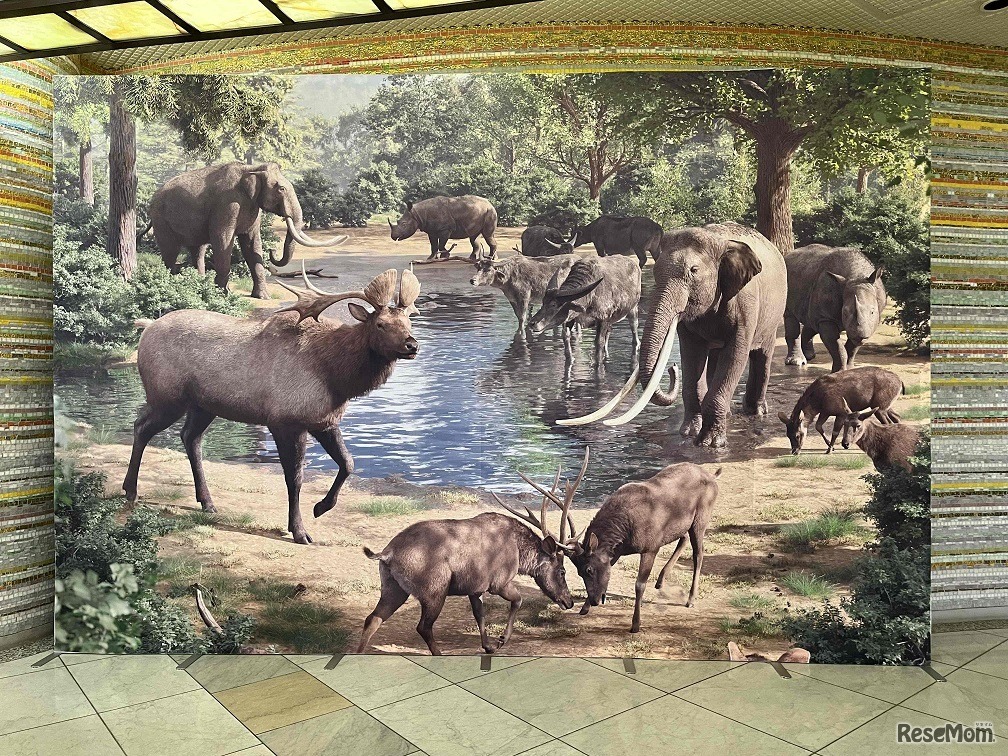 特別展「よみがえるチバニアン期の古生物」