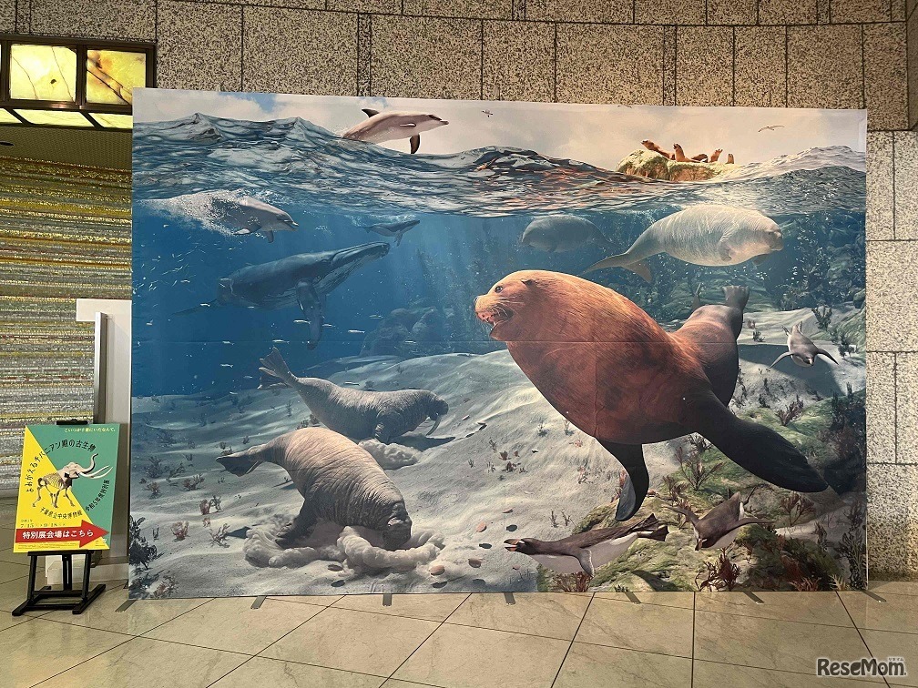 特別展「よみがえるチバニアン期の古生物」