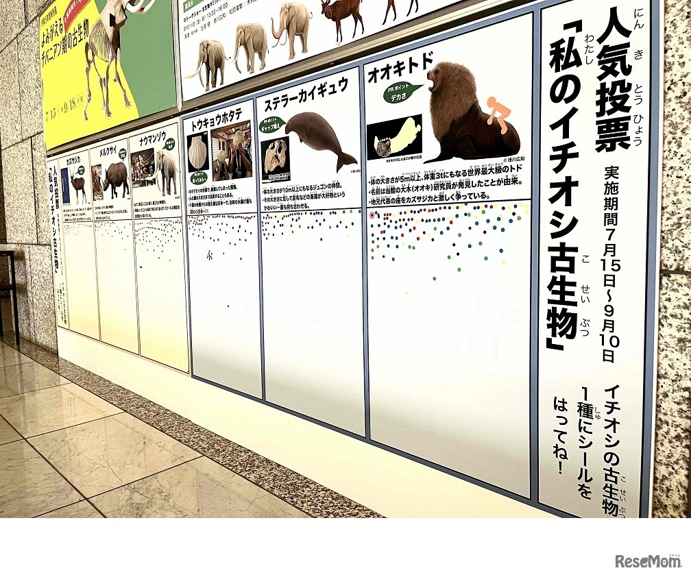 「私のイチオシ古生物」人気投票