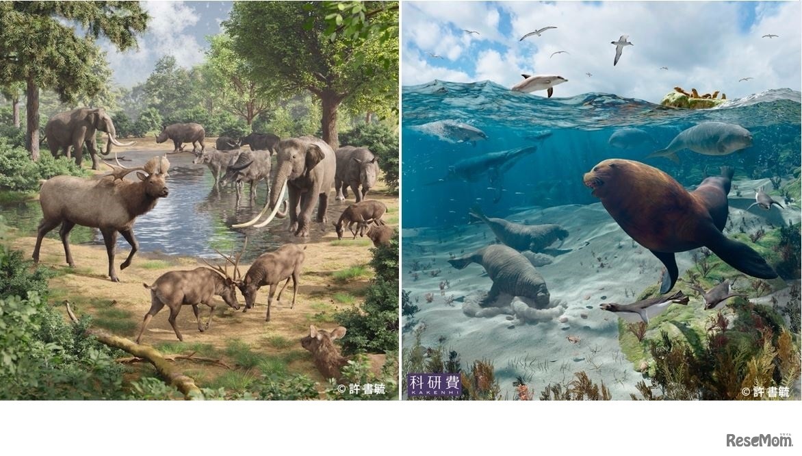 特別展「よみがえるチバニアン期の古生物」