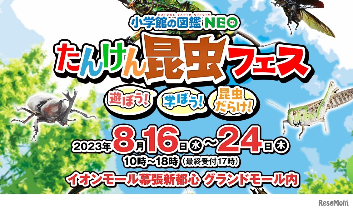 小学館の図鑑NEO たんけん昆虫フェス～遊ぼう！学ぼう！昆虫だらけ！～