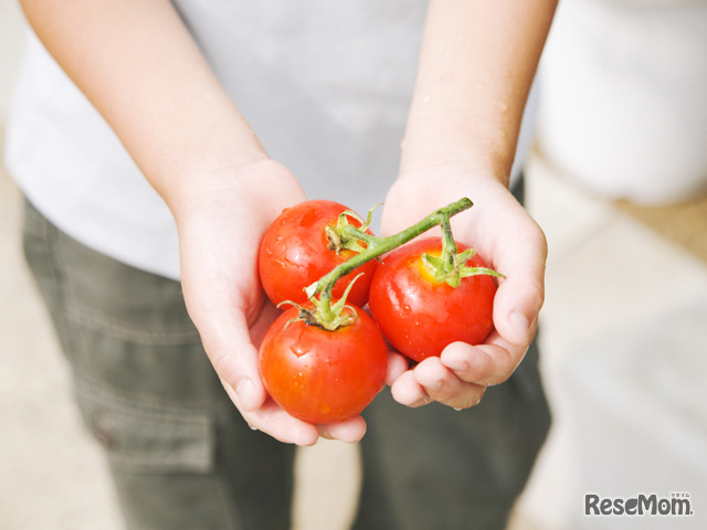 画像はイメージ