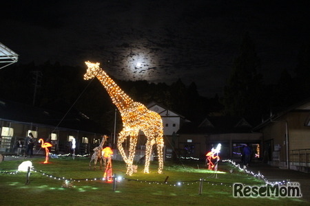 園内のさまざまな場所にある動物のオブジェのイルミネーション点灯も実施 （過去の開催のようす）