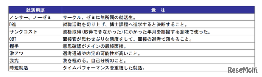 ランク外で目新しかった用語、特徴的な用語（一部抜粋）