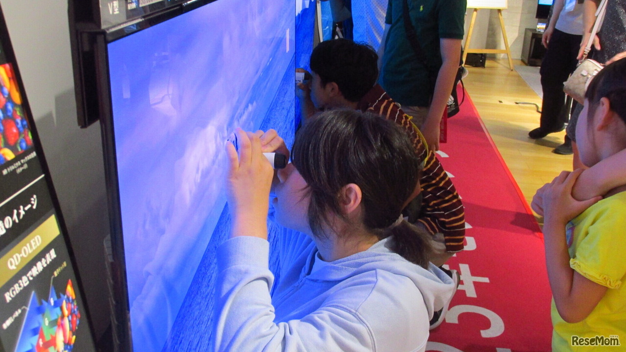 ルーペを使って小さな画素を確認