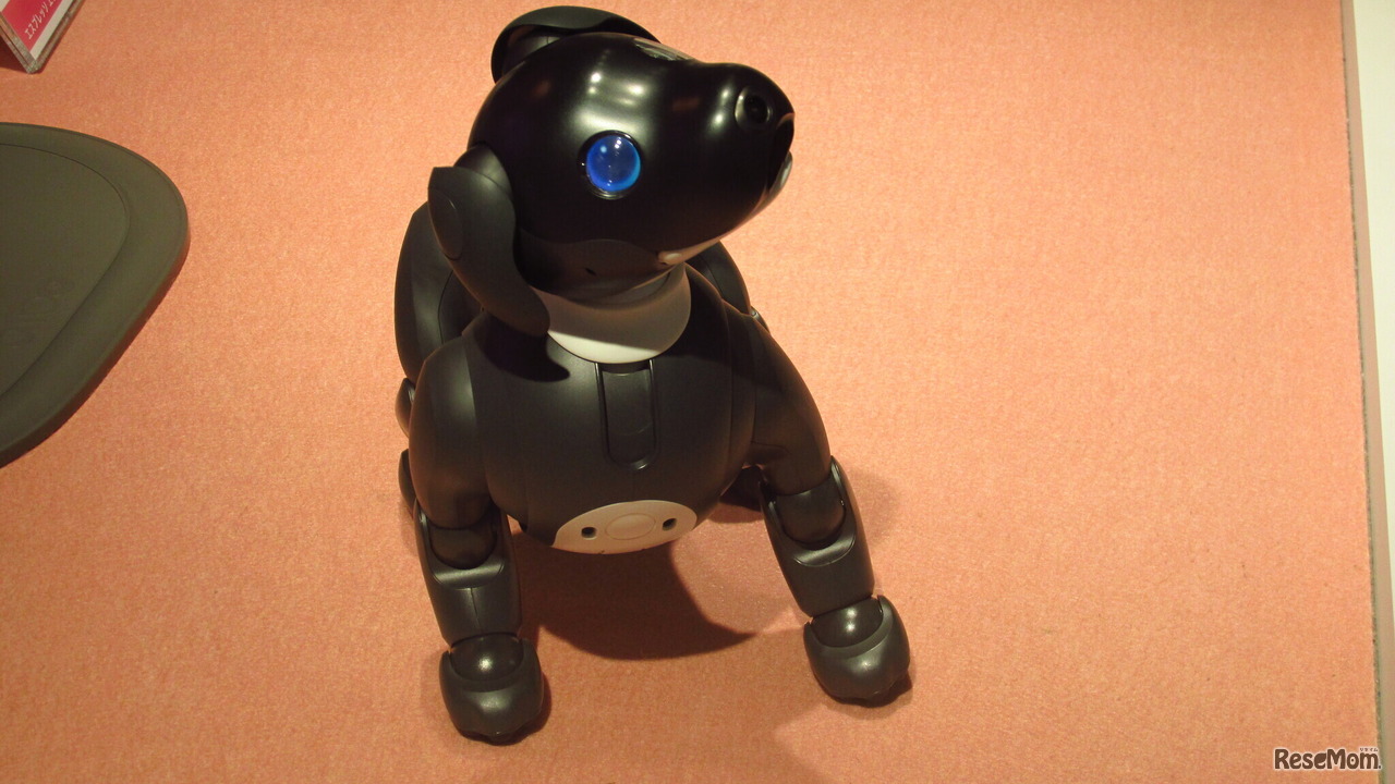 ソニーストア銀座にある自律型エンタテインメントロボット「aibo」