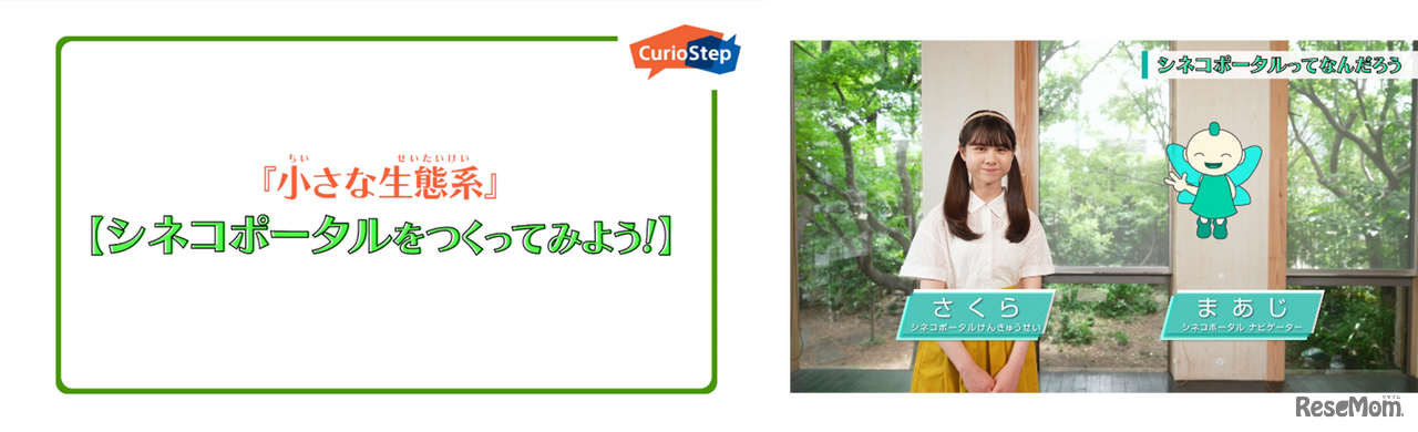 「小さな生態系」シネコポータルをつくってみよう！