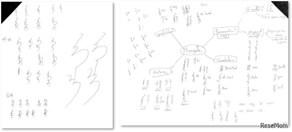 言語習得の実験：紙