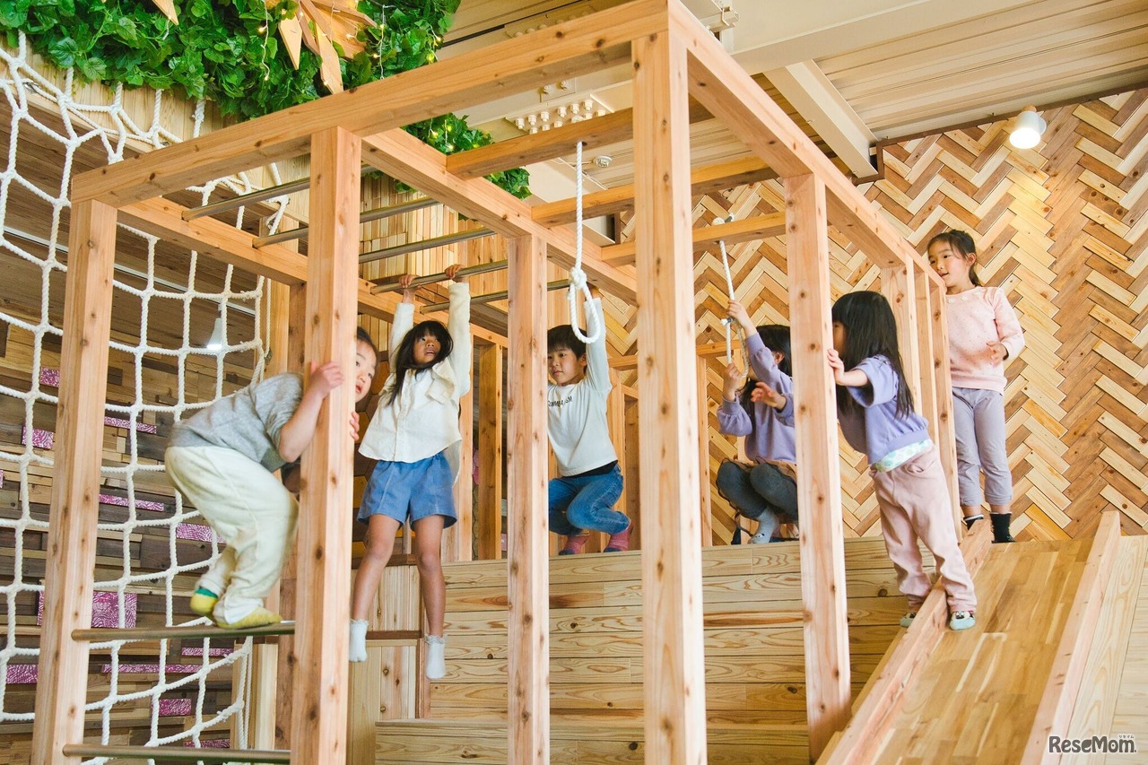 木製のアスレチックで身体をいっぱい動かして遊ぼう