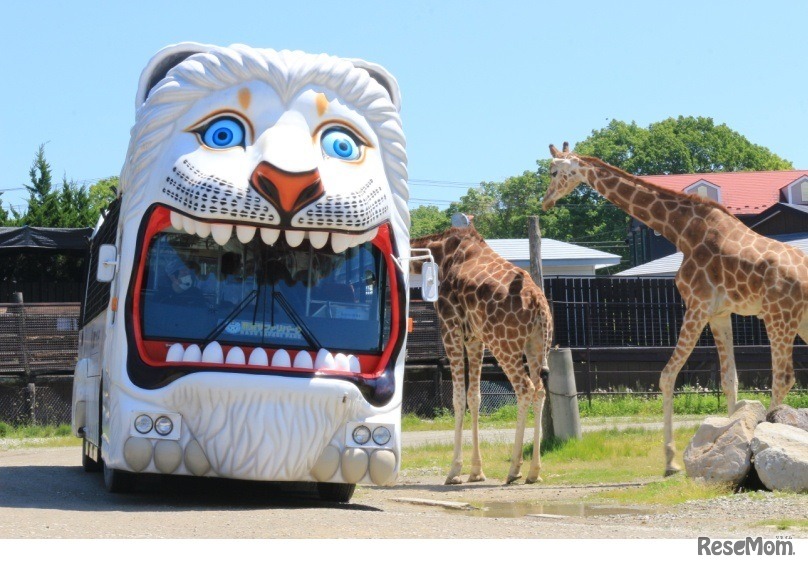 ライオンバス無料キャンペーン