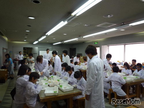 八王子市、小中学生対象イベントを夏休み中毎日開催