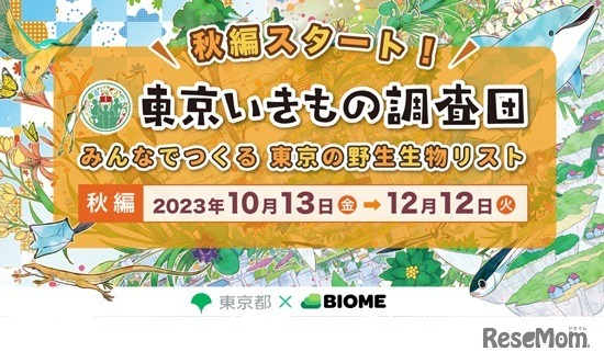 東京いきもの調査団2023秋編