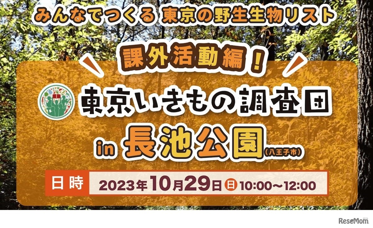東京いきもの調査団、課外活動～里山編～ in 長池公園