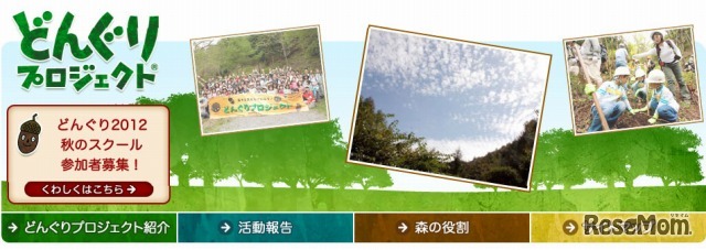 どんぐりプロジェクト