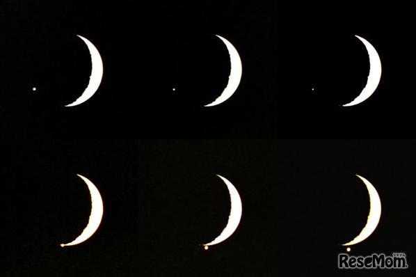 1989年12月2日の金星食、国立天文台