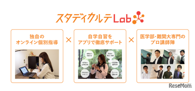 スタディカルテLabの内容