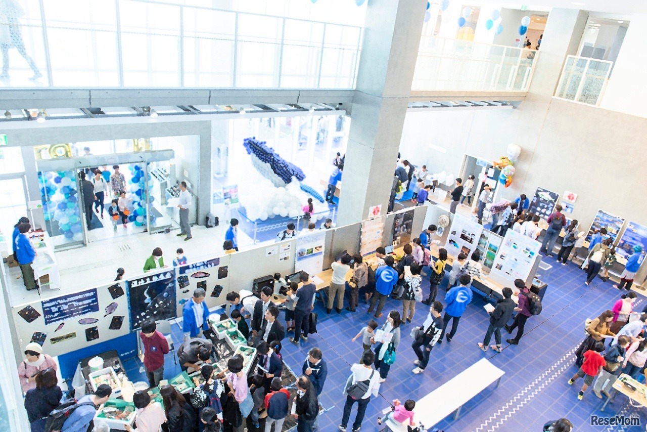 開催プログラム：デジタルクイズラリー