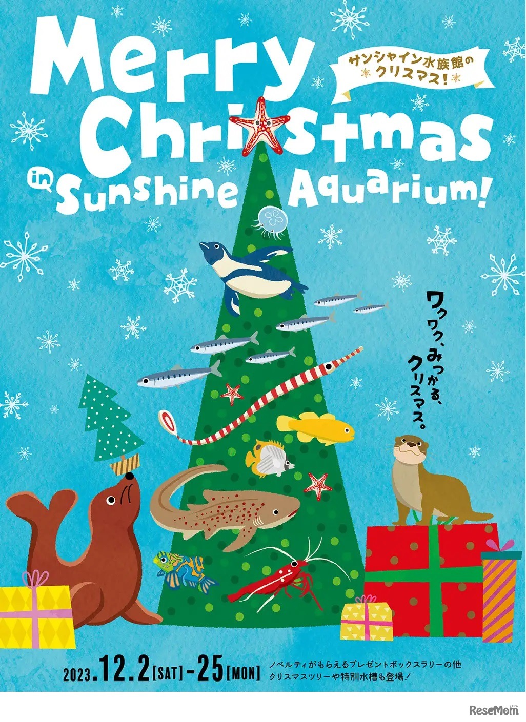Merry Christmas in Sunshine Aquarium!