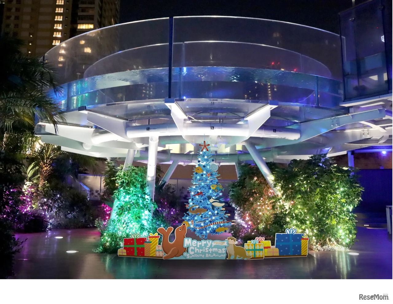 クリスマスツリー