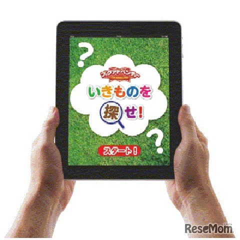 いきものを探せ!