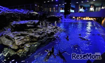 前回イベントの様子