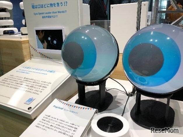 瞳だけでコミュニケーションができるロボットPupiloid（ピューピロイド）