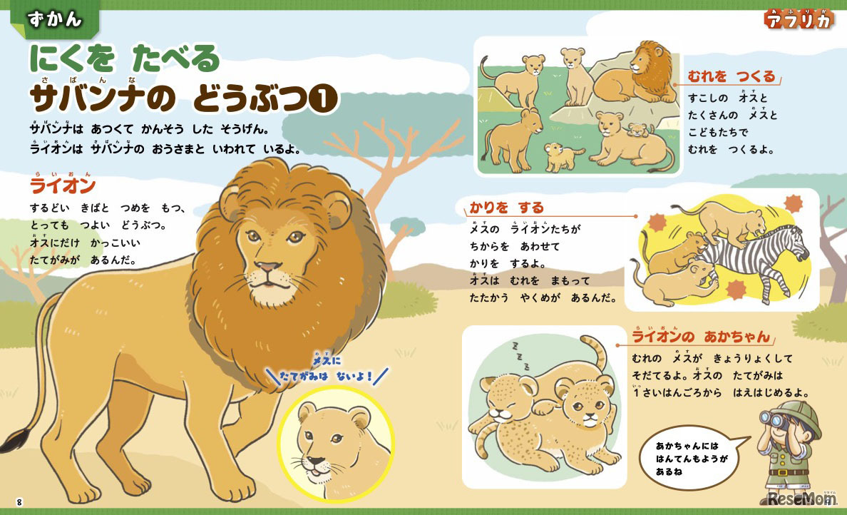 リアルだけどかわいらしいイラストの図鑑ページ