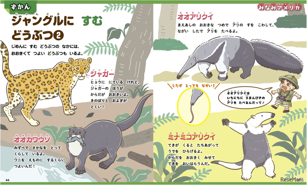 リアルだけどかわいらしいイラストの図鑑ページ