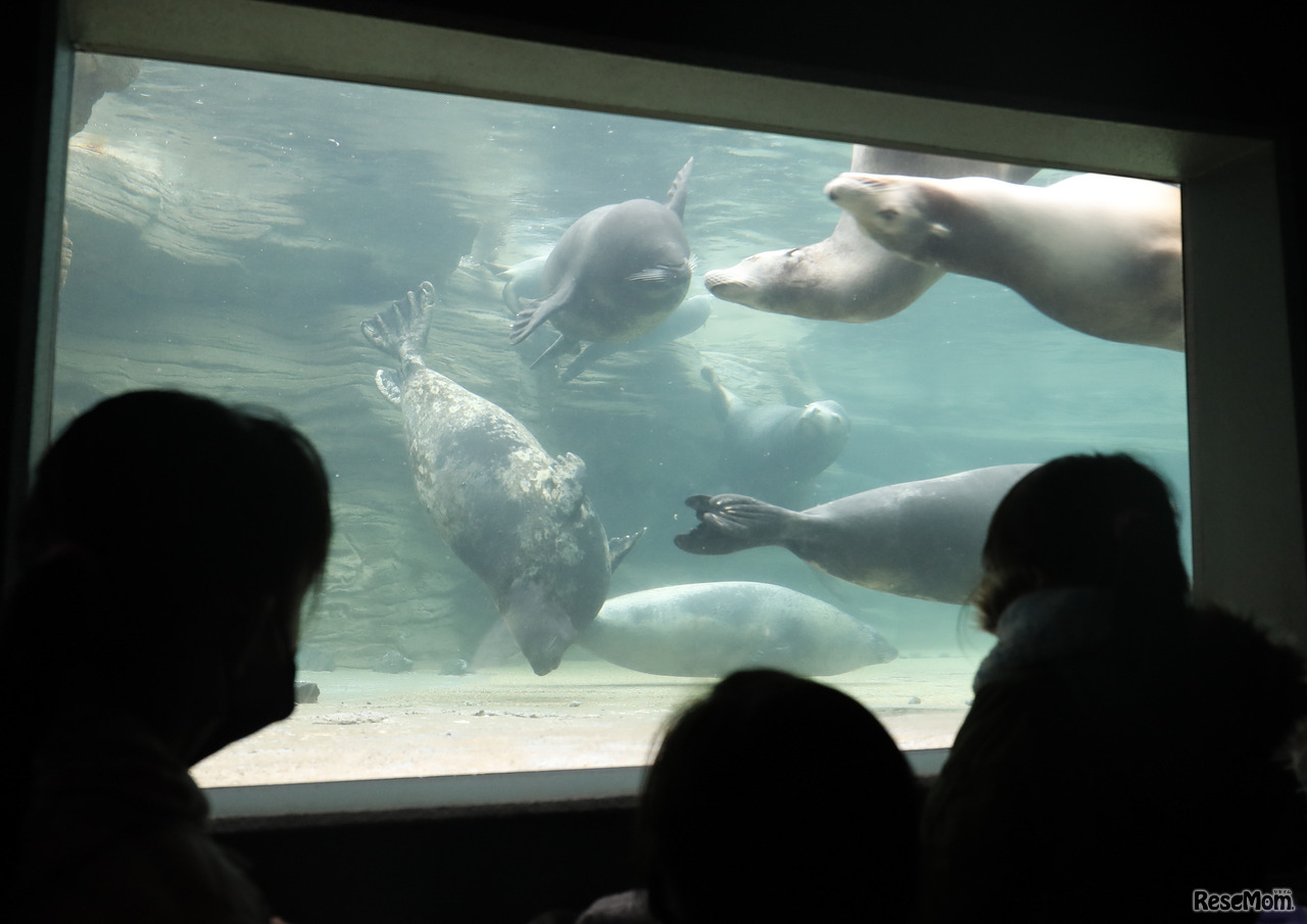 ウインタースクール