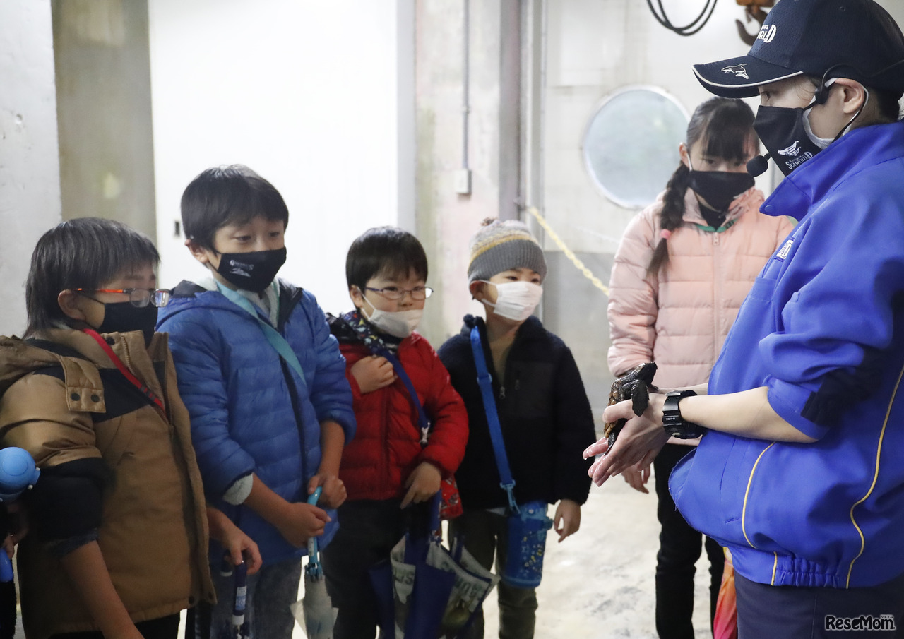 ウインタースクール