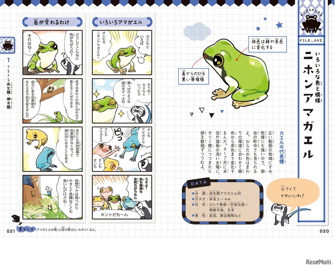 図鑑の一部「二ホンアマガエル」