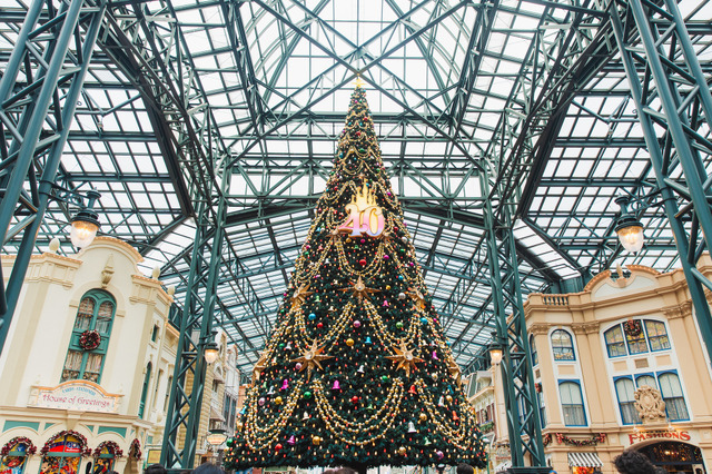 圧倒的にロマンティック！約15メートル、40周年の巨大クリスマスツリーの見逃せない輝き