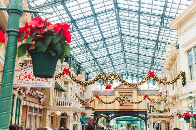 圧倒的にロマンティック！約15メートル、40周年の巨大クリスマスツリーの見逃せない輝き